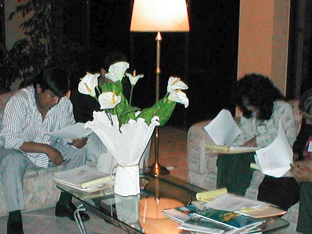 P1010015 copia